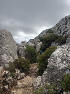 Foto von Grizzli entlang der Tour