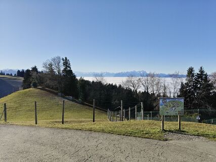 Zdjęcie z Xenia Lange wzdłuż trasy