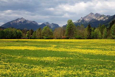 Radtour Schloss Linderhof Runde - Bick auf Scheinberg und Große Klammspitze