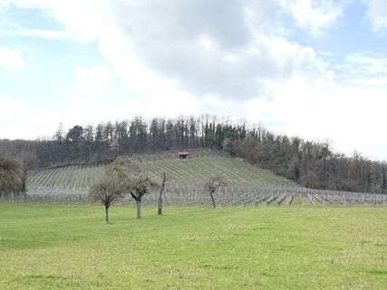 Foto van Norbert Herbig langs de tour