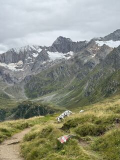 Foto von Markus Müllrick entlang der Tour