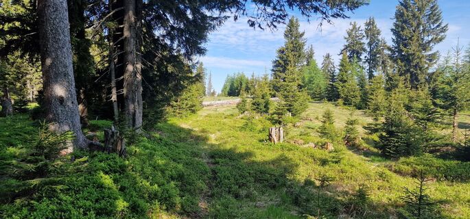 Zdjęcie z Marko wzdłuż trasy