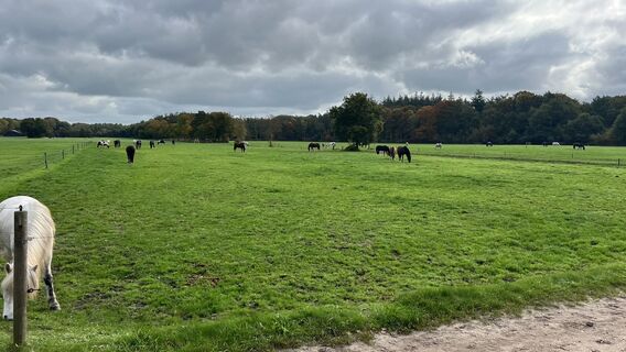 Foto da M van Gelder lungo il tour