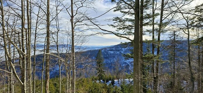 Fotografie z MIROB na trase