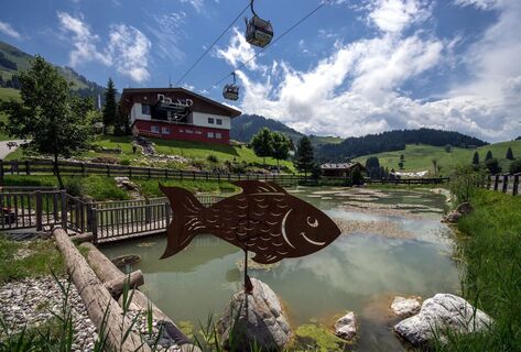 Söll_Hexenwasser_Wilder Kaiser