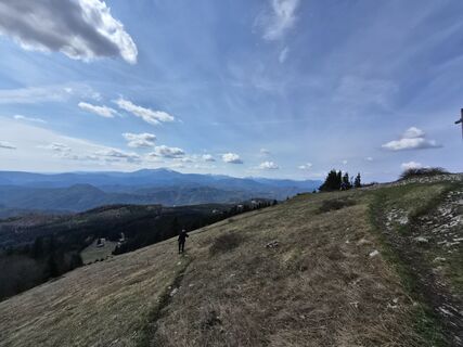 Fotografija s spletne strani aliceortler na poti