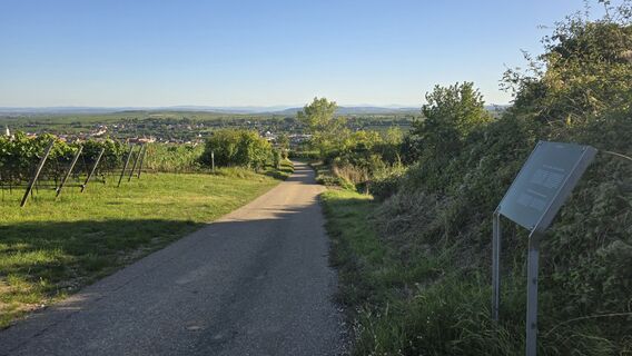 Fotografie de la Hieu Duc Tram de-a lungul turului