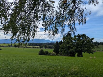 Photo de Kaiser 0_o le long du parcours