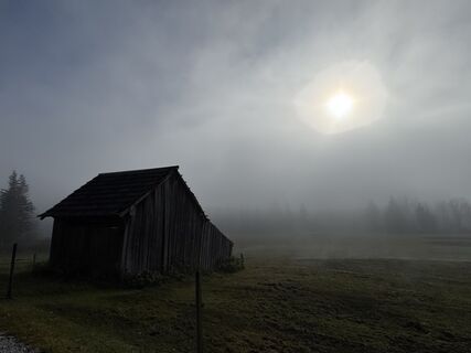 Zdjęcie z Denise Miller wzdłuż trasy