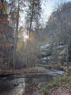 Fotografia z Steffen Kiesel na trase