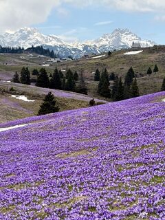 Fotografie z Andrea Gamnig na trase
