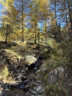 Photo de Marianne Grobner le long du parcours