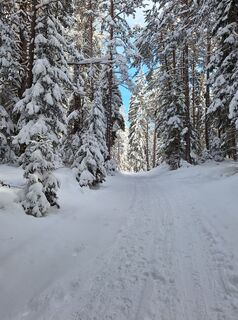 Photo de Gabrielasttz le long du parcours
