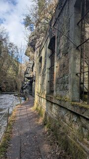 Foto von hochlandfamilie entlang der Tour