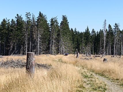 Fotografia z Ma Pi 1 na trase