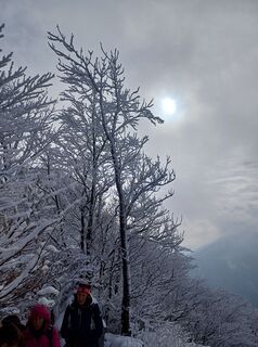 Photo de Angelika Poschinger-Reh le long du parcours