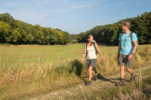 Ahrtsteig_Bohrsberg,Freilingen