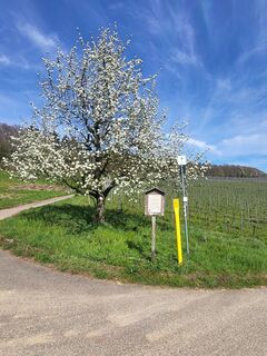 Fotografija s spletne strani Anke Hetzer na poti