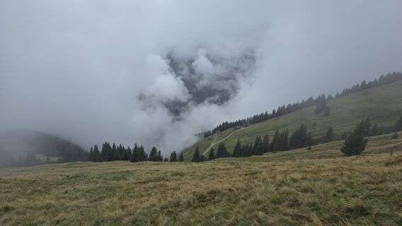 Foto von Tanja entlang der Tour