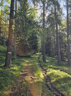 Foto von Jutta Ibeschitz entlang der Tour