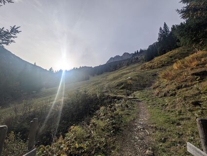 Foto de T Gössing a lo largo del recorrido