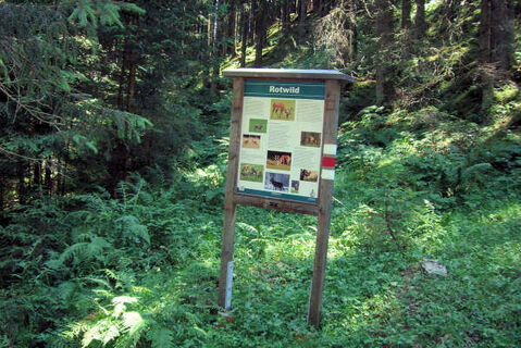 Informationstafel Rotwil