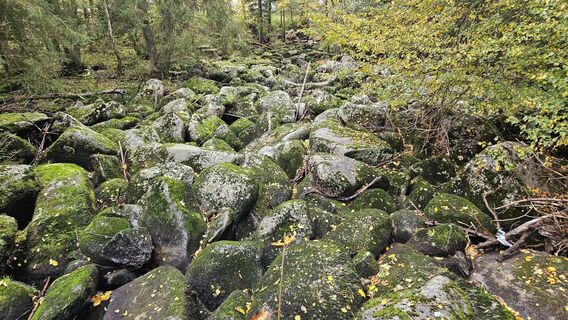 Photo de Wolfgang Feilmayr le long du parcours
