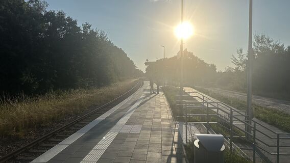 Zdjęcie z michael lierka wzdłuż trasy