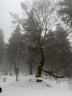 Foto von Gunnar Engelmann entlang der Tour