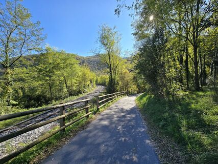 Photo de Monika Rohrer le long du parcours
