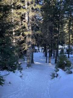 Fotografia z Amiks na trase