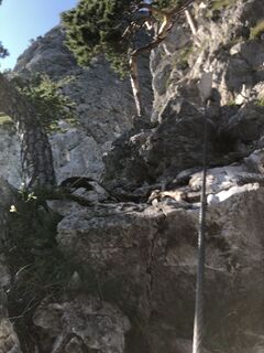 Foto von skibbeldiwapwap entlang der Tour