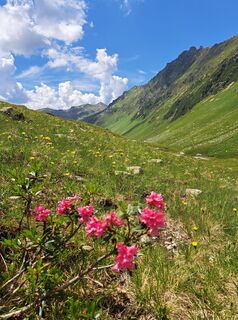 Fotografija s spletne strani Christian Lerchster na poti