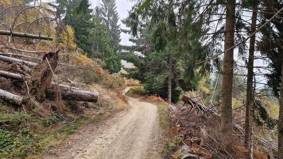 Foto von Fabrizi Mellano entlang der Tour