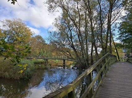 Foto von nordbergschnecke entlang der Tour