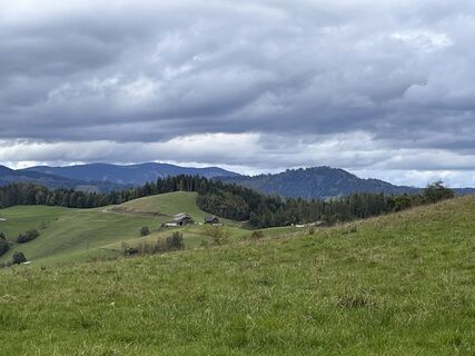 Foto de coochi a lo largo del recorrido