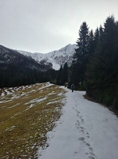 Foto de Miha Gros a lo largo del recorrido