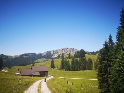 Auf der Bodenalm