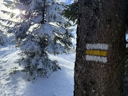 Foto von Natur_erleben_dg entlang der Tour