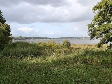 Foto de Dr. Hans Jürgen Groß (Be.Co.Me.) a lo largo del recorrido