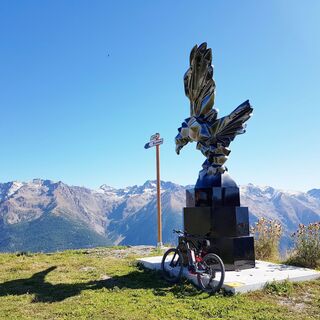 Der Adler von Bercha