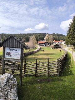 Foto fra Ildikó Dávidné Nagy undervejs på turen