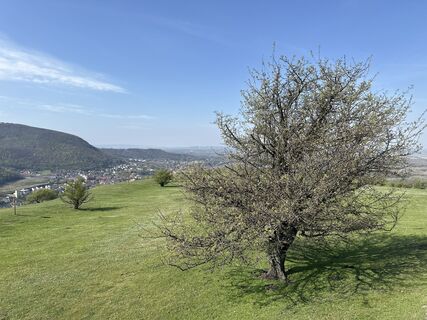 Fotografia z Robert Ressler na trase