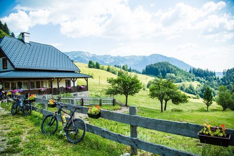 Aussicht bei der Falkensteinalmhütte
