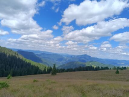 Foto de Žaneta Schelling a lo largo del recorrido