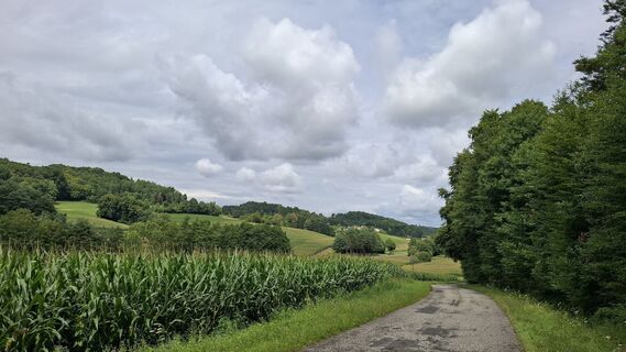 Foto fra Márti undervejs på turen