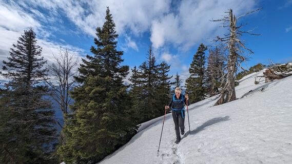 Fotografija s spletne strani Klaus Lehner na poti