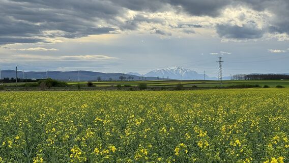 Foto von Werner Wild entlang der Tour