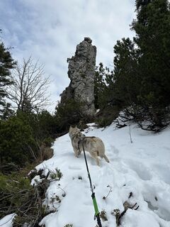 Fotografia z Hieronimus Nickl na trase