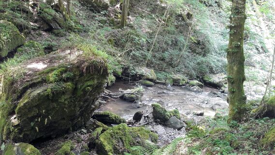 Saar-Hunsrück-Steig hinter Rosker Brücke